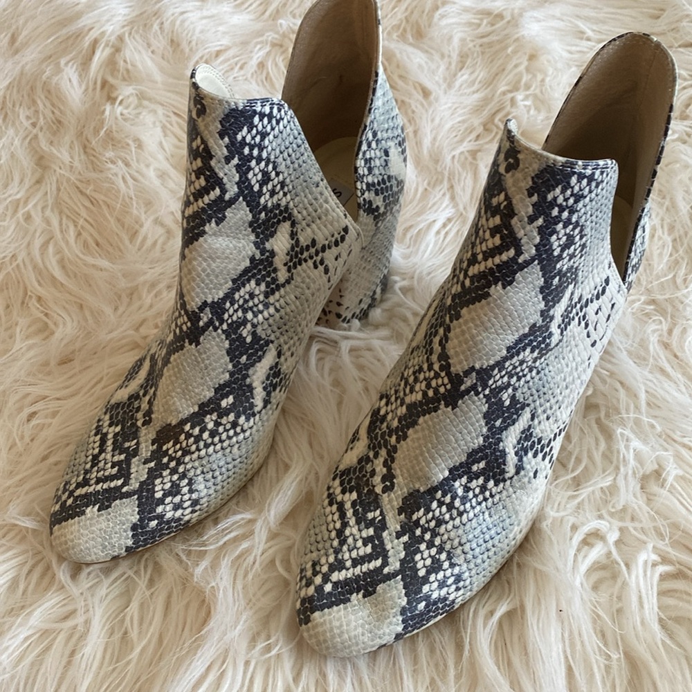 STEVE MADDEN ROOKIE ankle booties - Picture 14 of 14